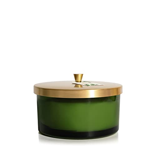 Thymes Frasier Fir Heritage 4-Wick Candle
